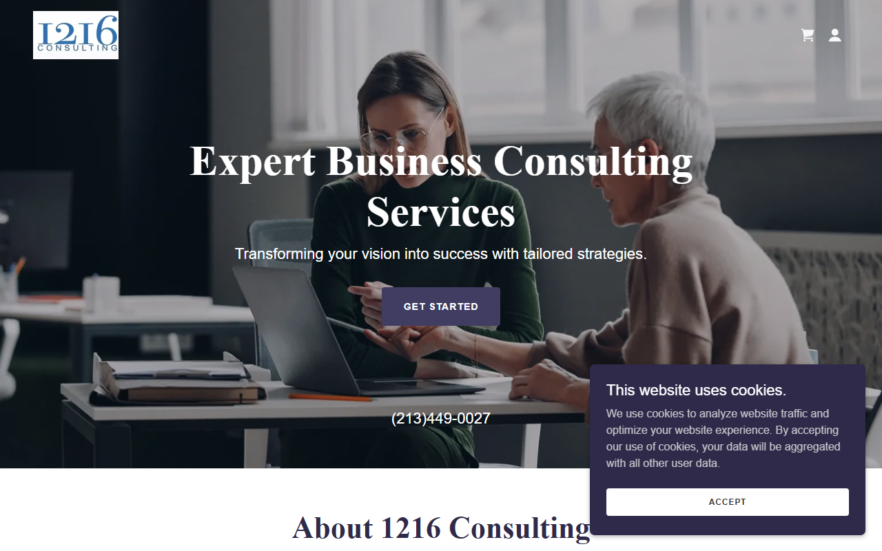 1216consult.com screenshot