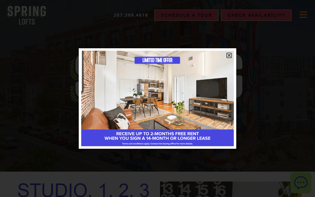1217springlofts.com screenshot
