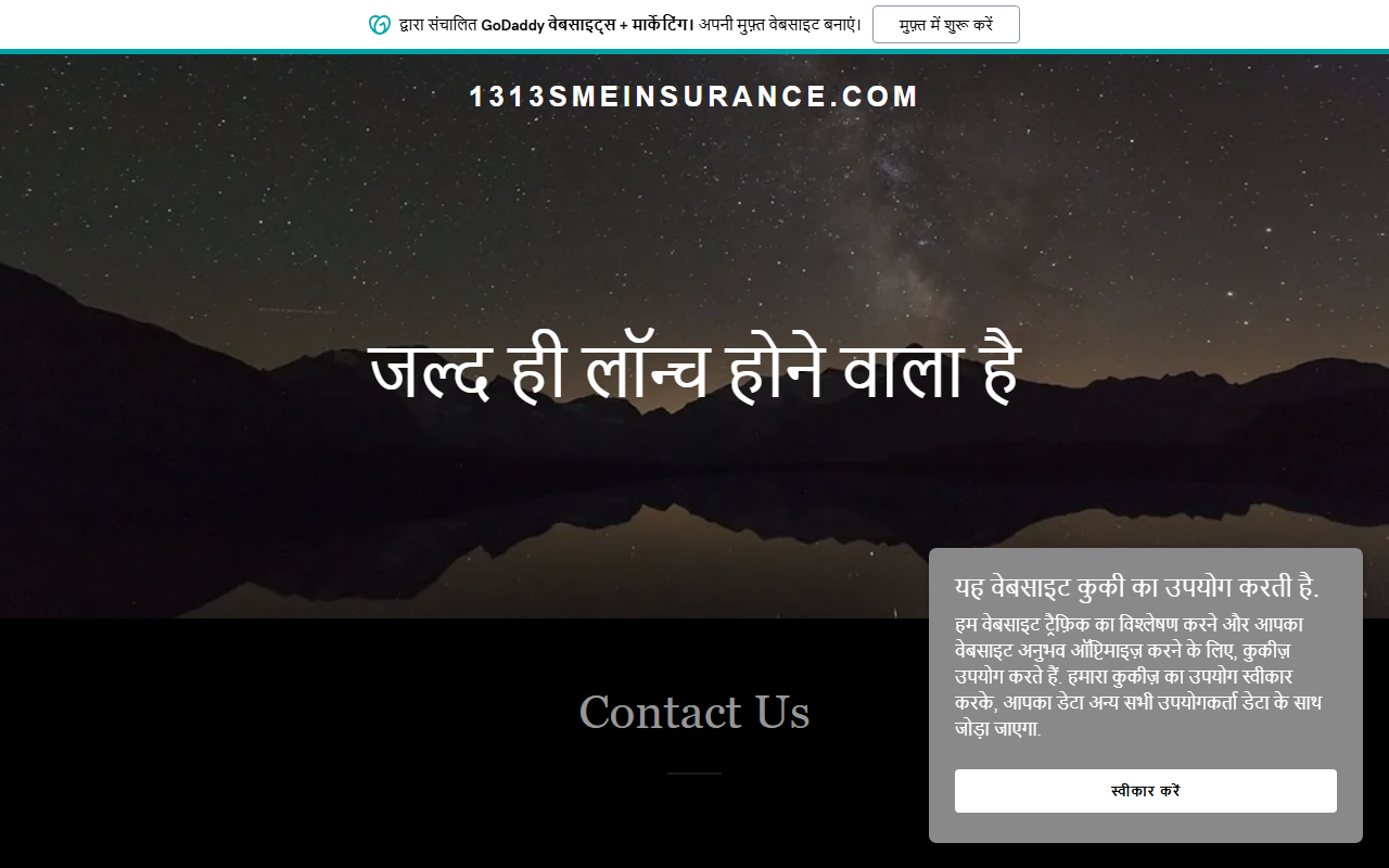 1313smeinsurance.com screenshot
