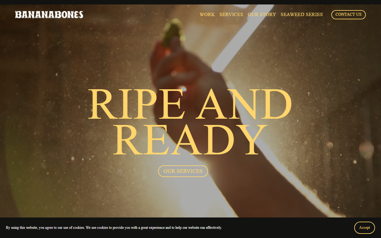 1321studios.com screenshot