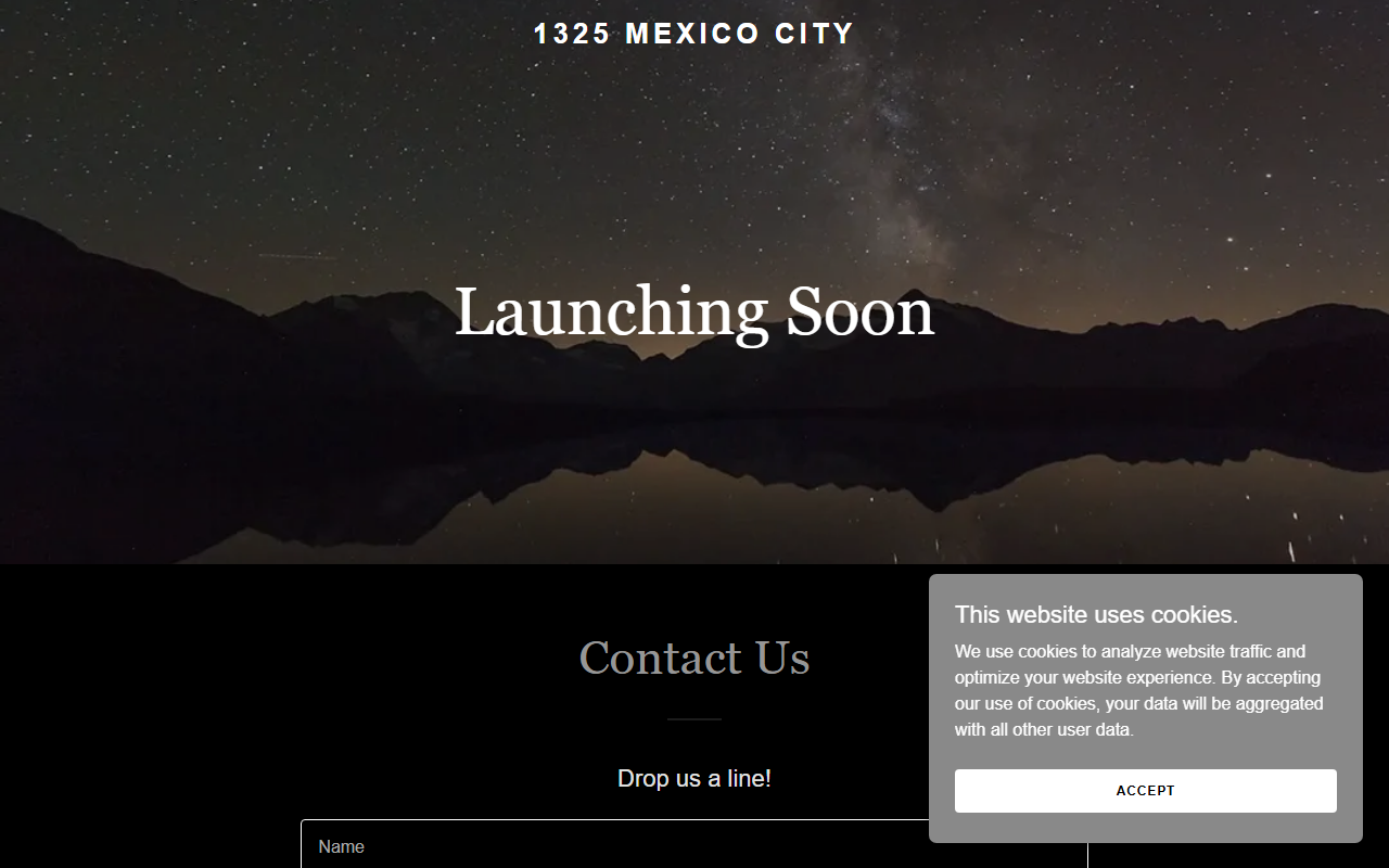 1325mexicocity.com screenshot
