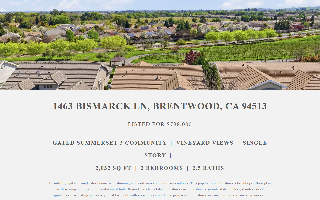1463bismarcklane.com screenshot