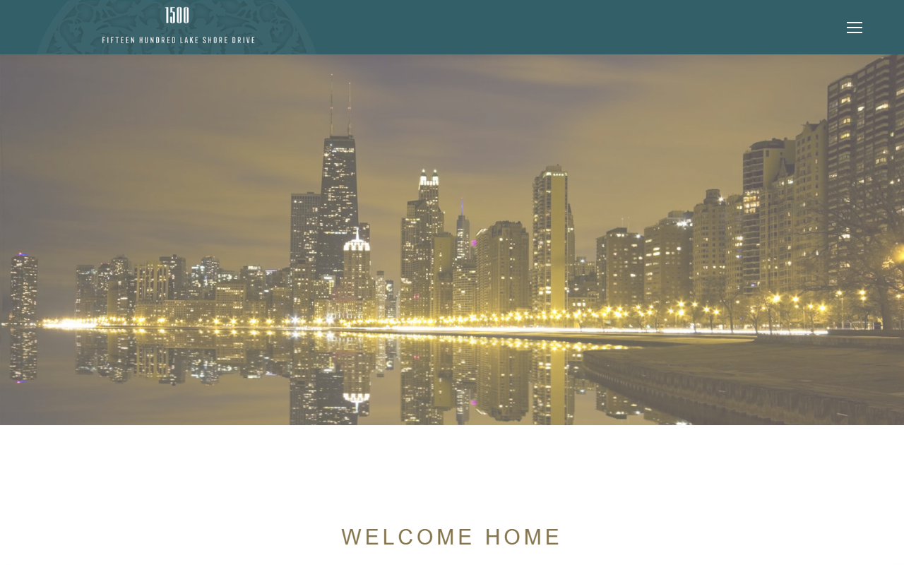 1500nlsdchicago.com screenshot