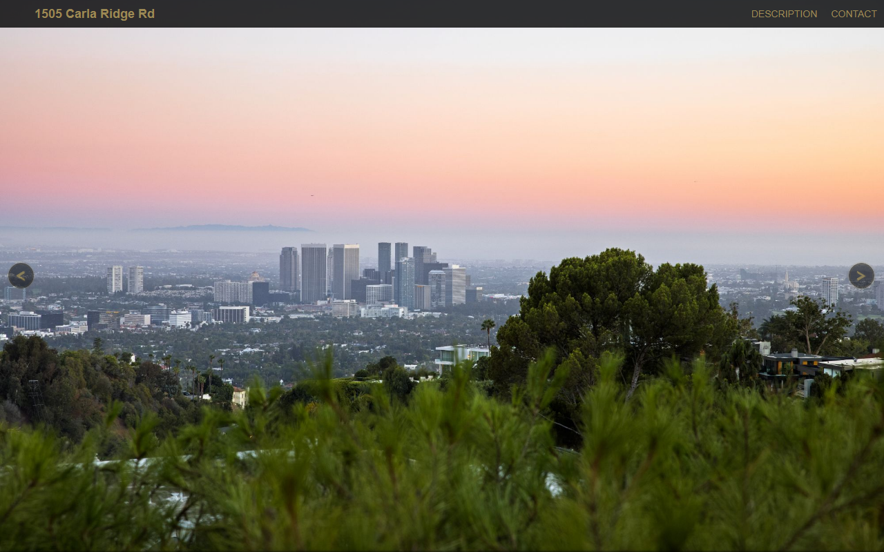 1505carlaridge.com screenshot