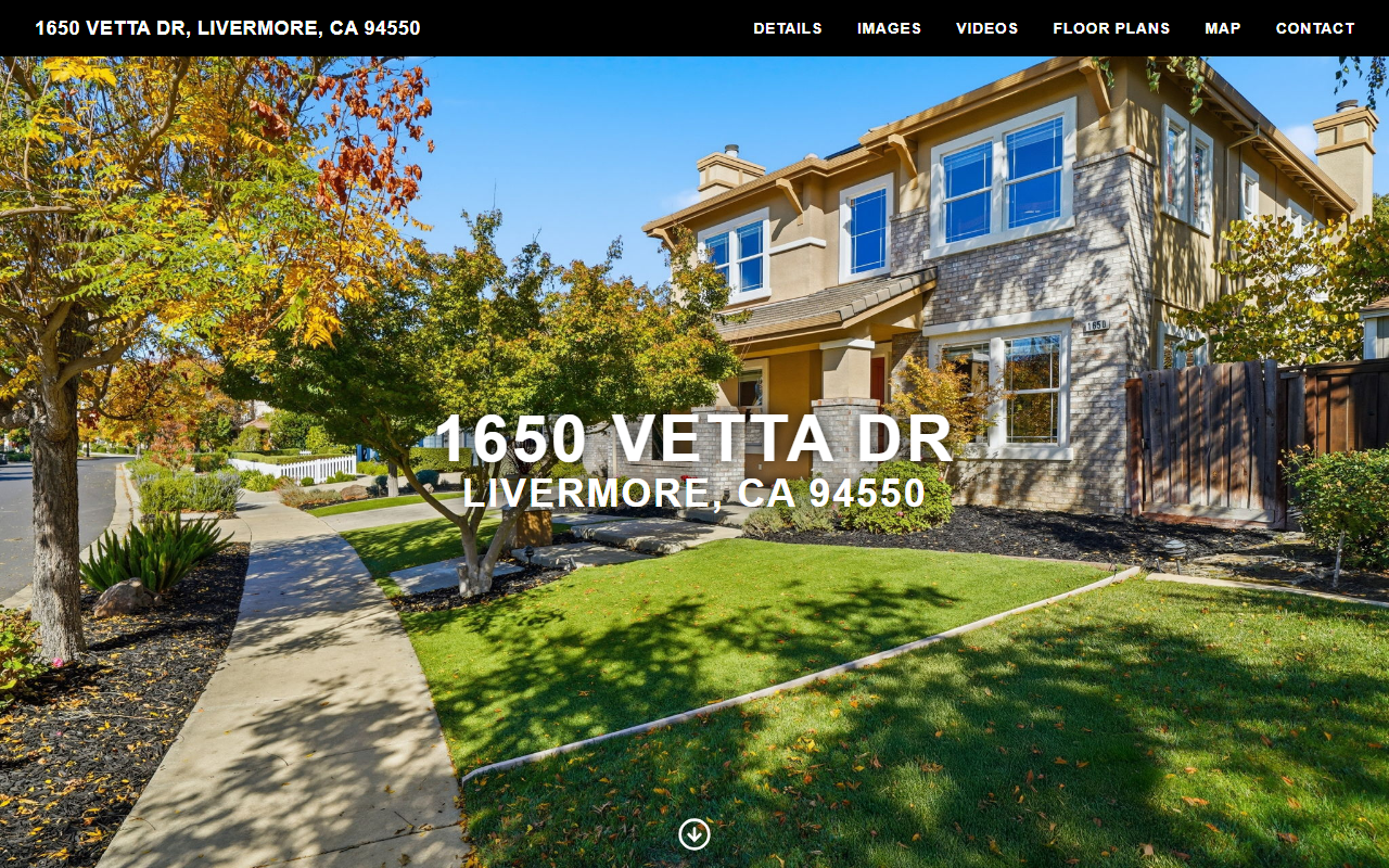 1650vettadr.com screenshot