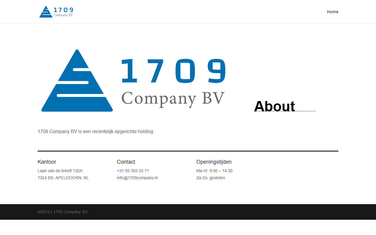 1709company.com screenshot