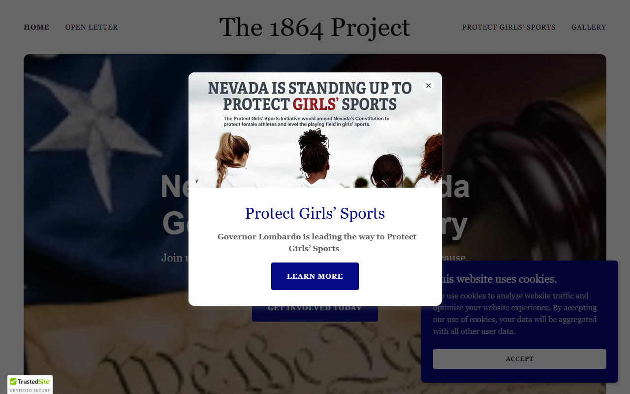 1864project.com screenshot