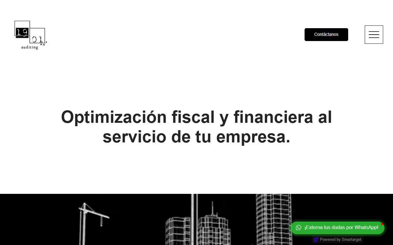 1901auditing.com screenshot