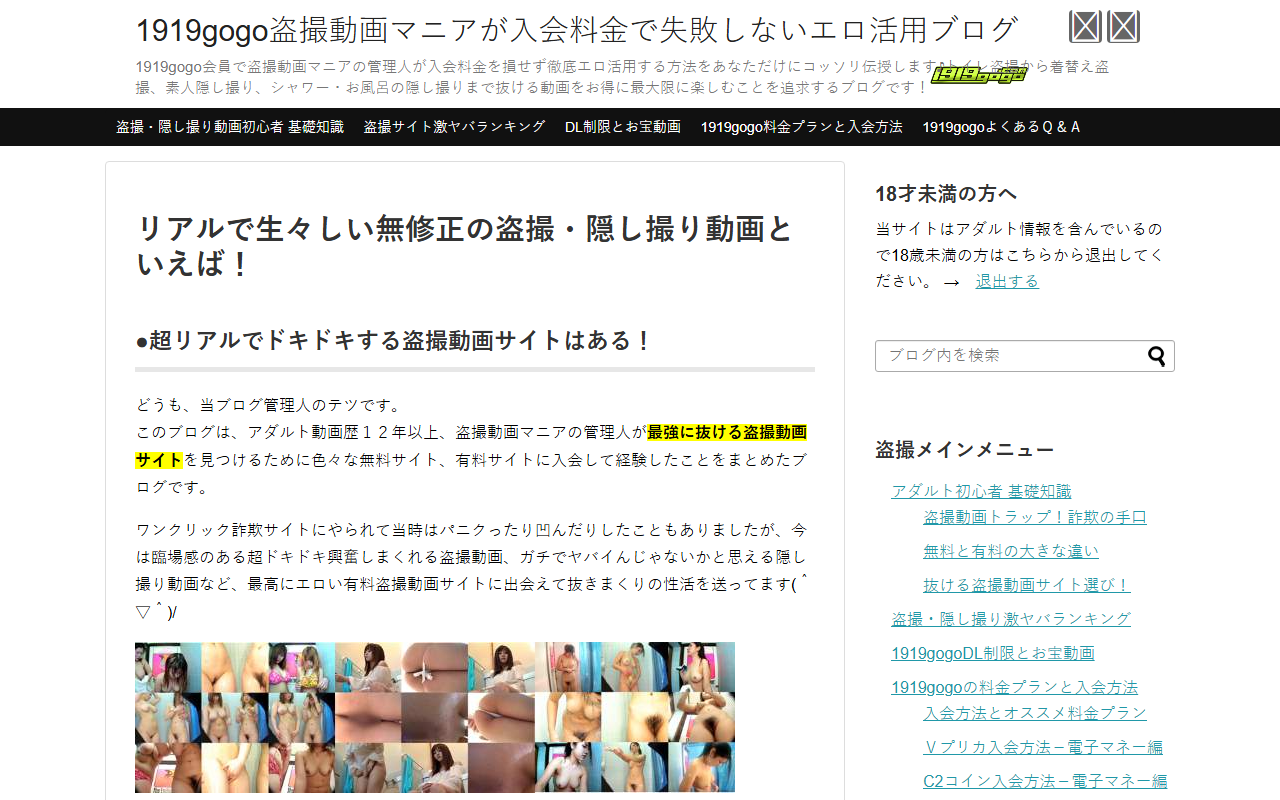 1919gogo-blog.com screenshot