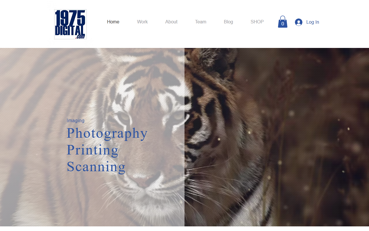 1975digital.com screenshot