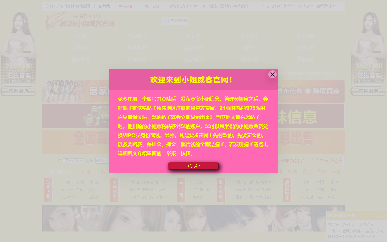 2018xiaojie.com screenshot