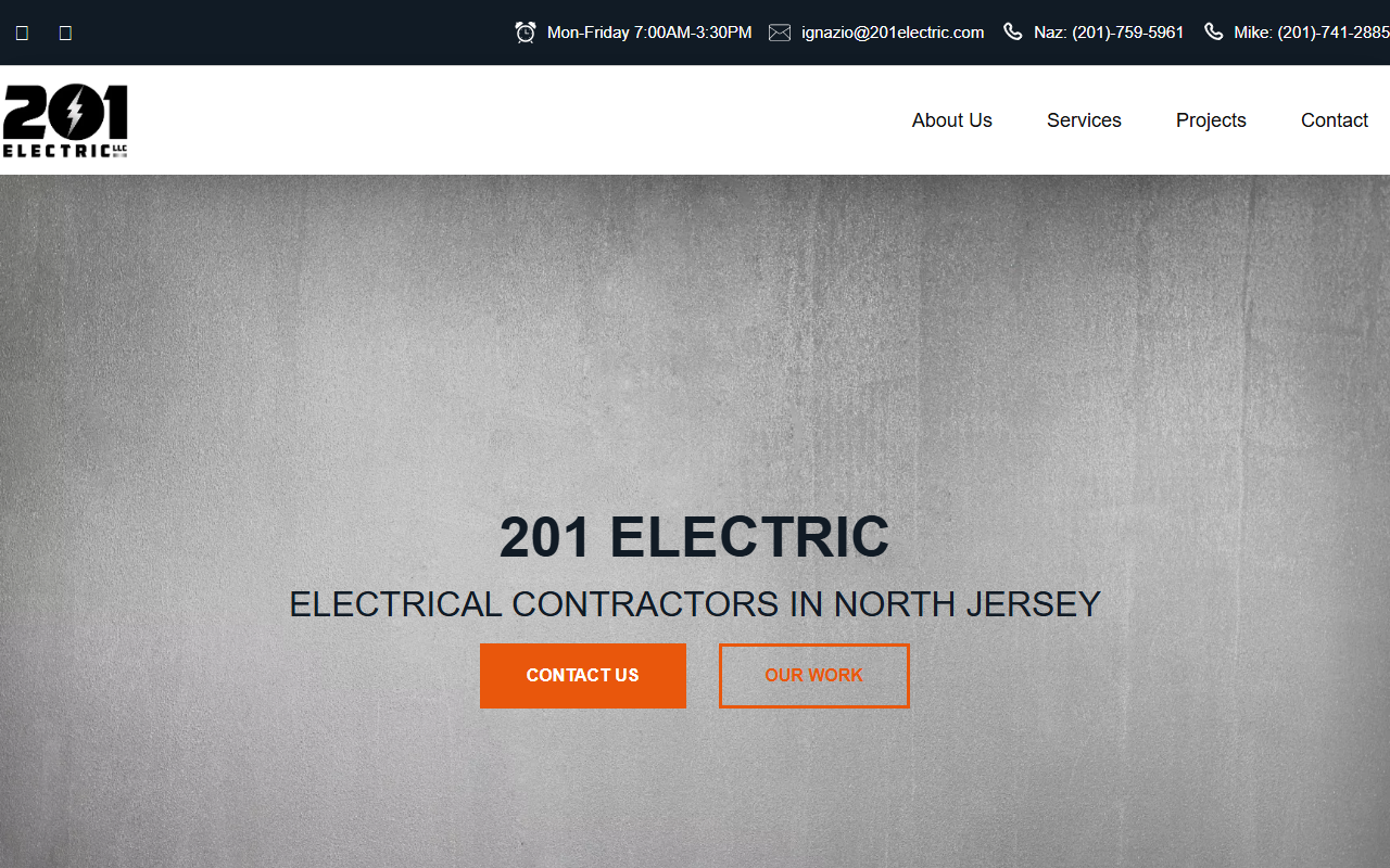 201electric.com screenshot