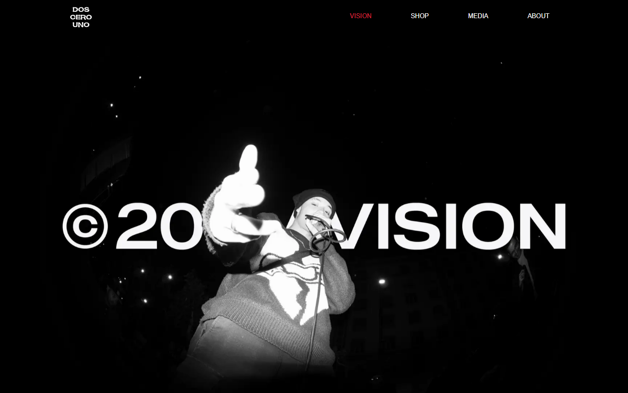 201lavision.com screenshot