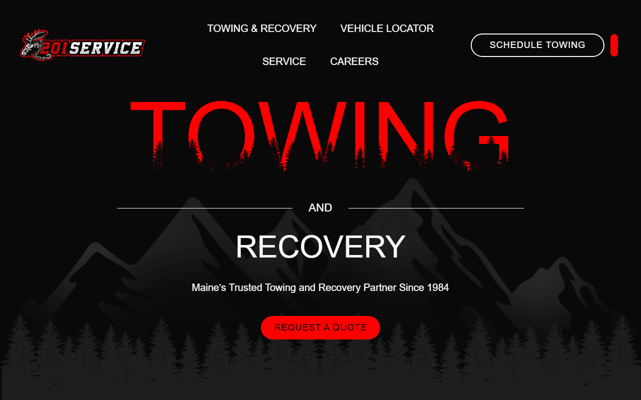 201service.com screenshot