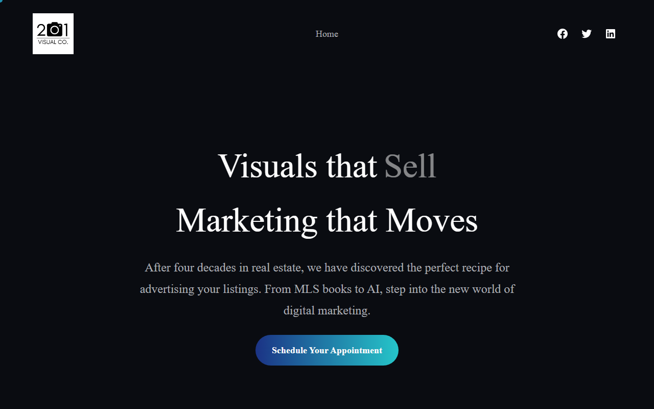 201visualco.com screenshot