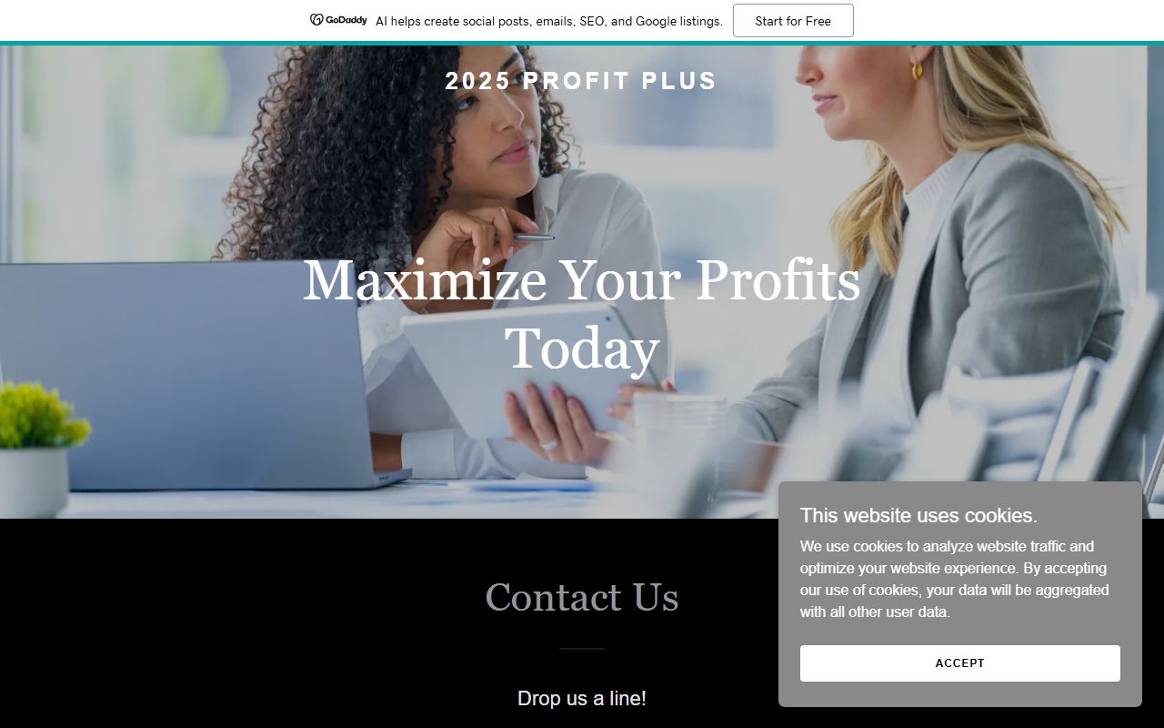 2025profitplus.com screenshot