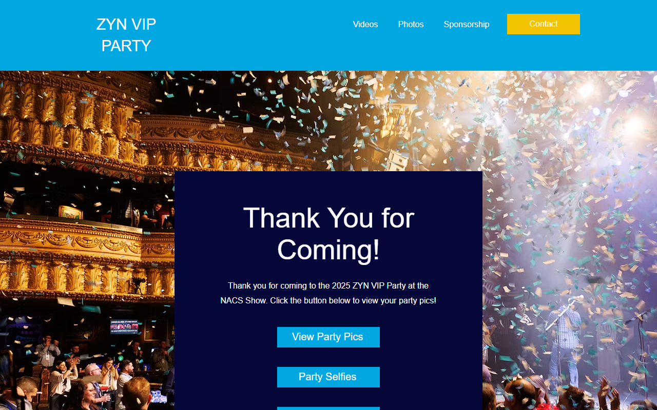 2025vipparty.com screenshot
