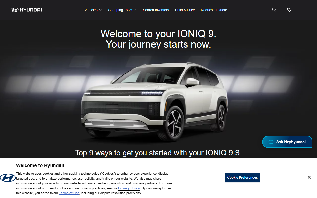 2026ioniq9s.com screenshot
