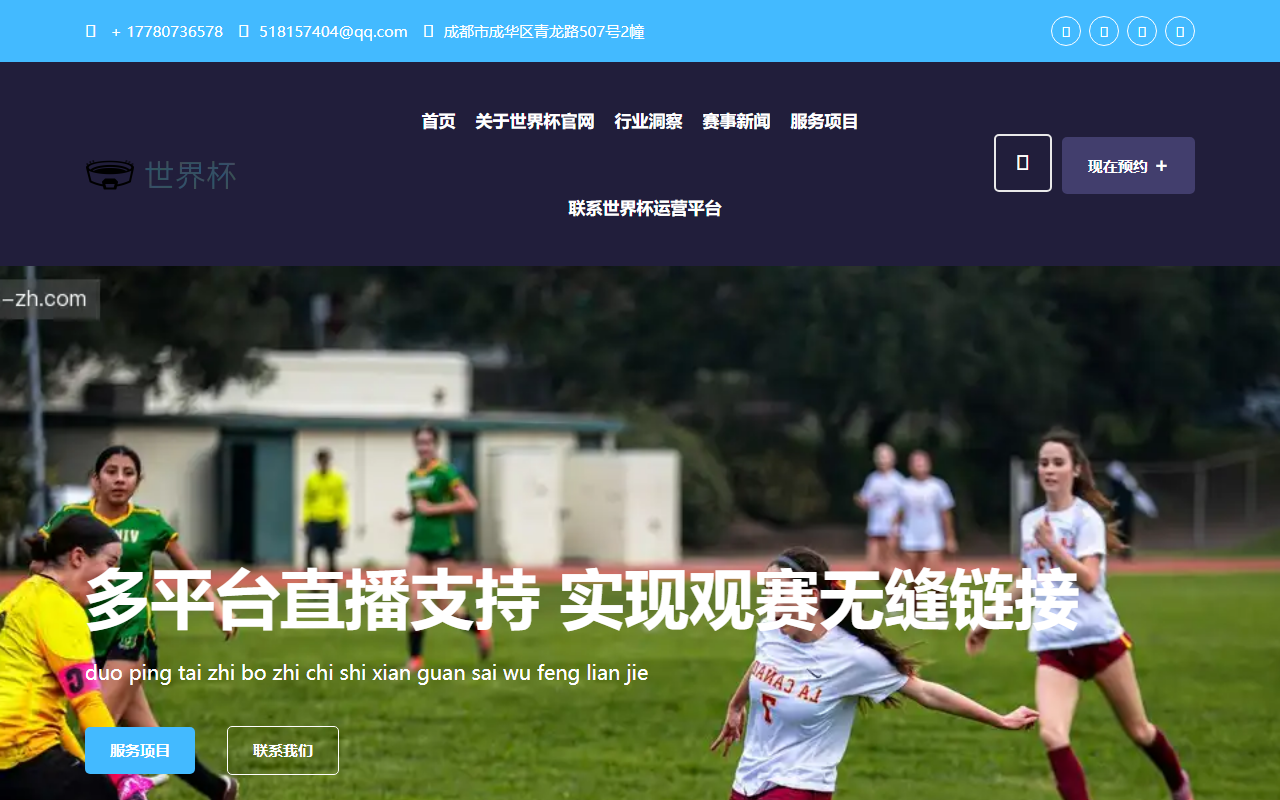 2026shijiebei-zh.com screenshot