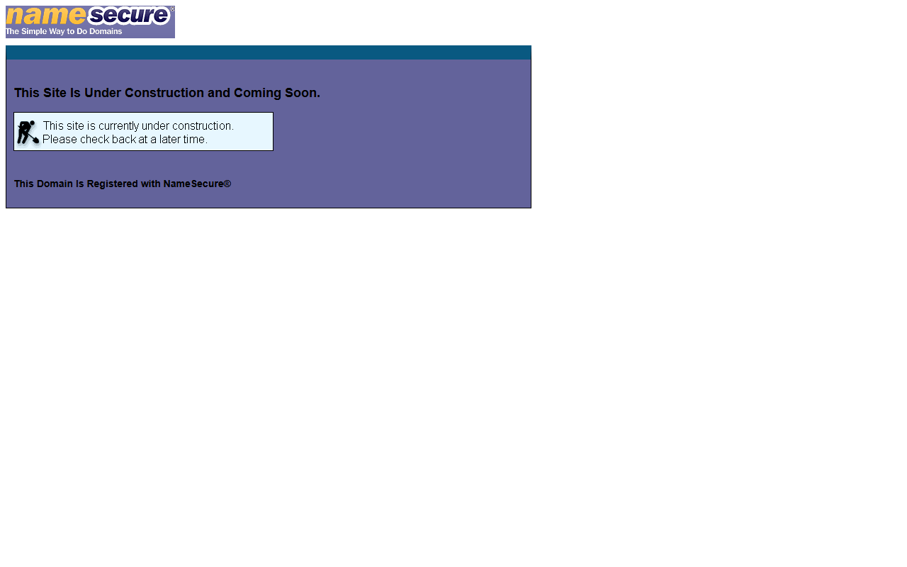 2028votingblue.com screenshot