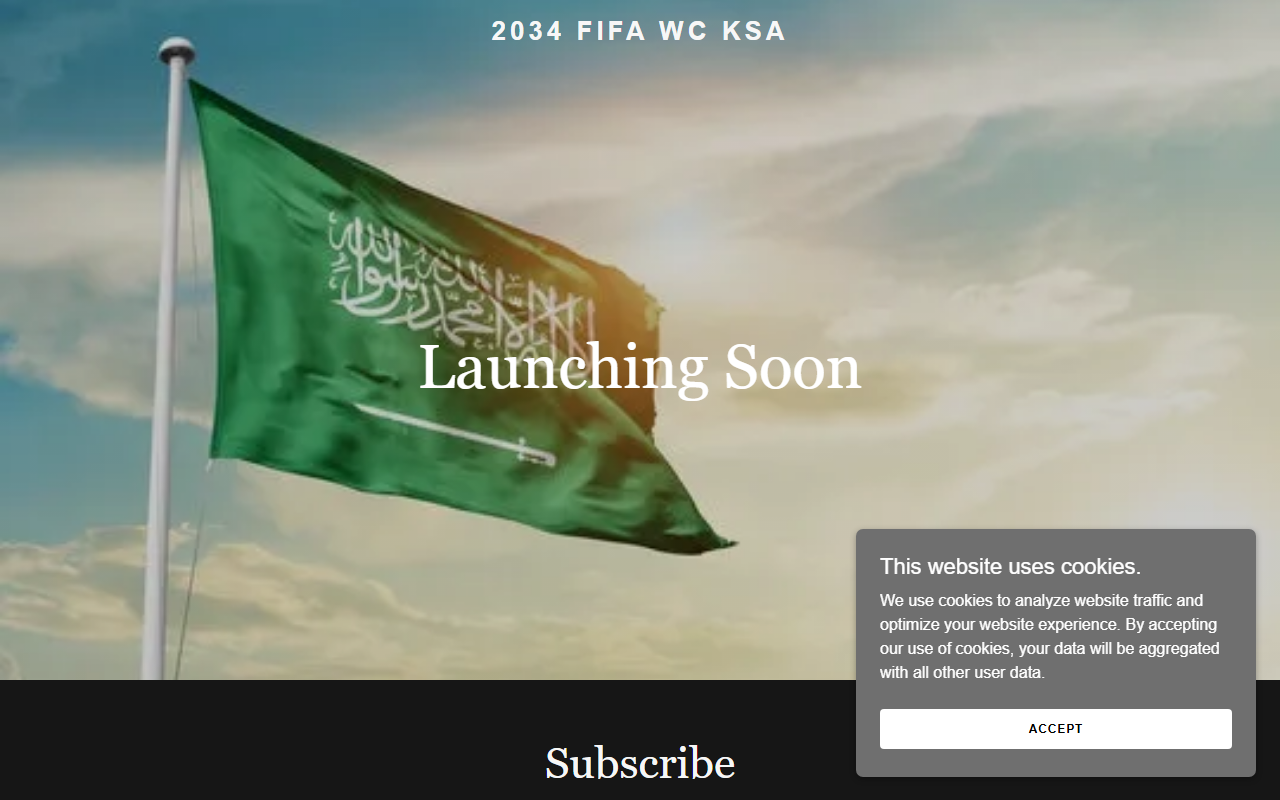 2034fifawcksa.com screenshot
