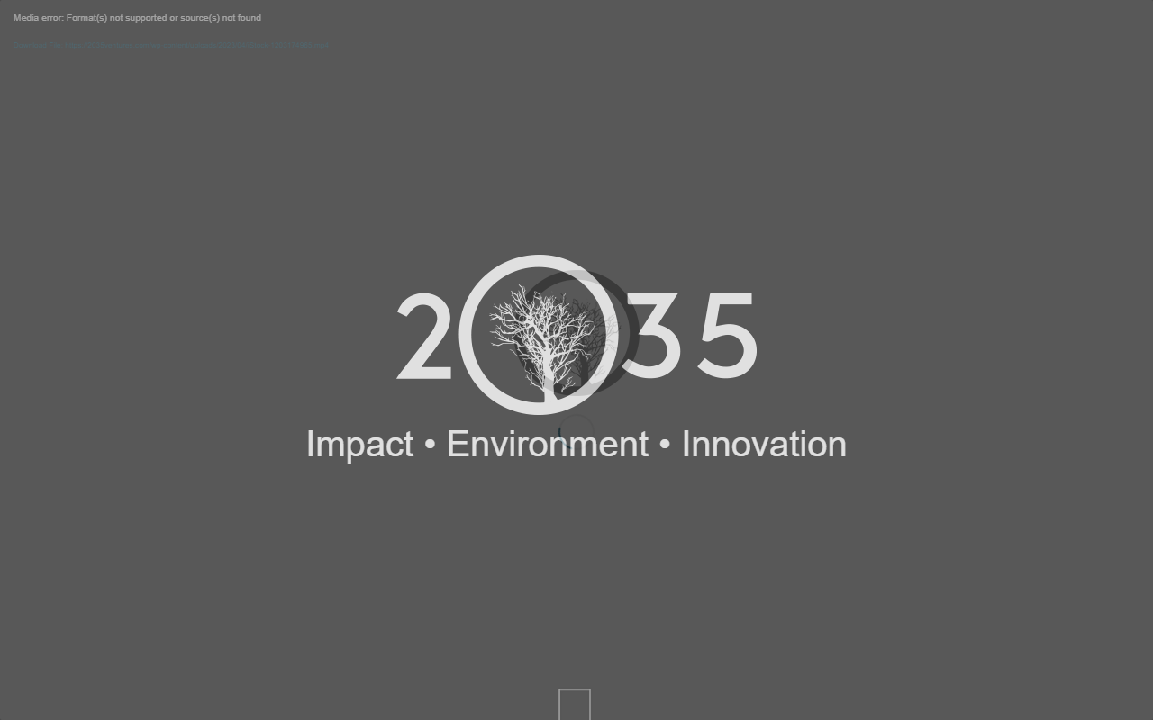 2035ventures.com screenshot