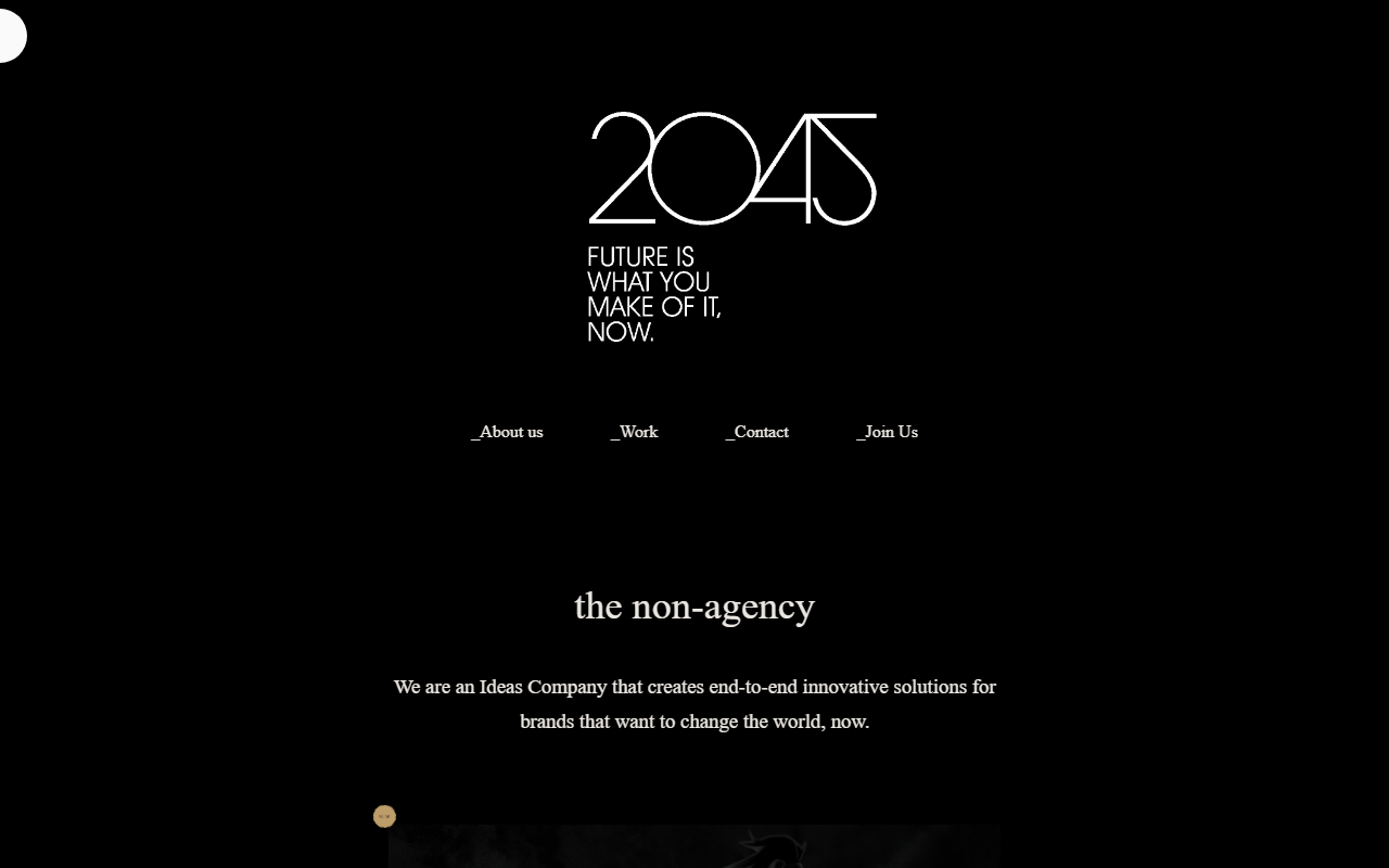 2045publicidad.com screenshot