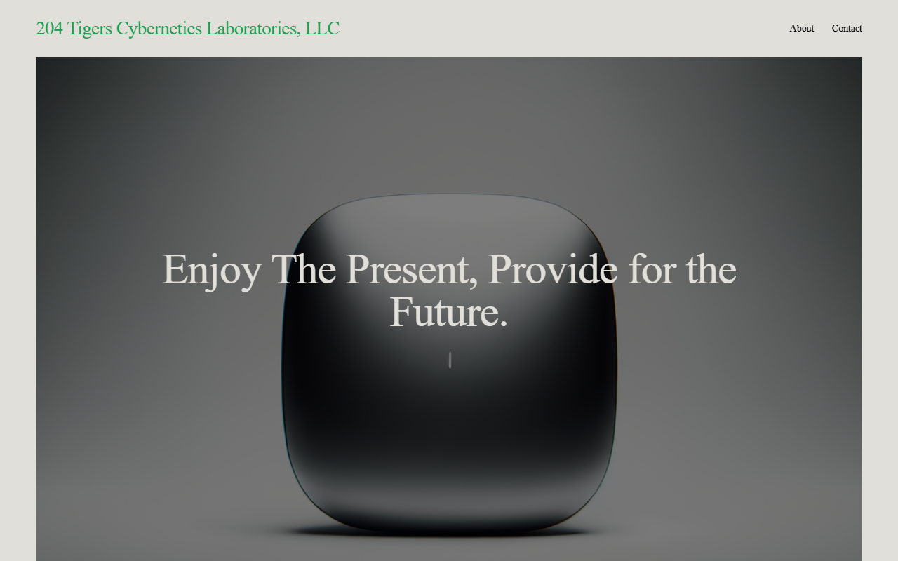 204tigerslab.com screenshot