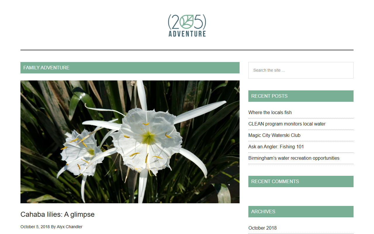 205adventure.com screenshot