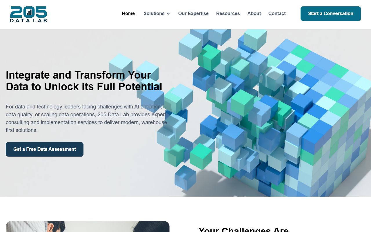 205datalabteam.com screenshot