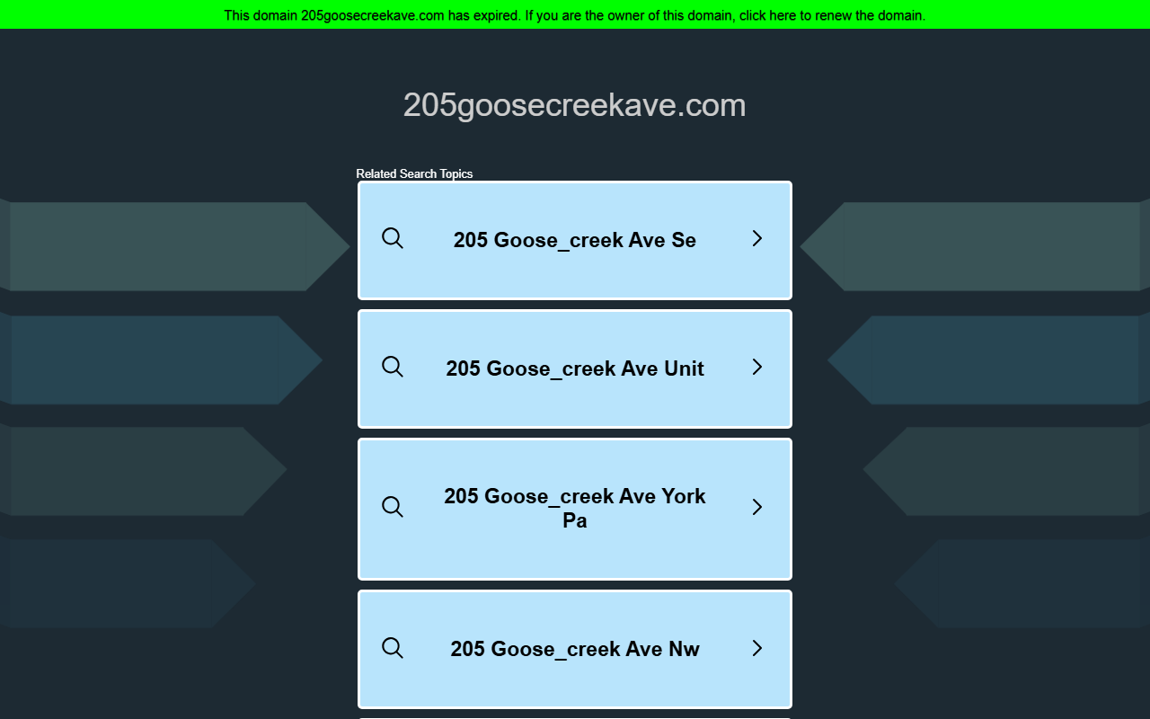 205goosecreekave.com screenshot