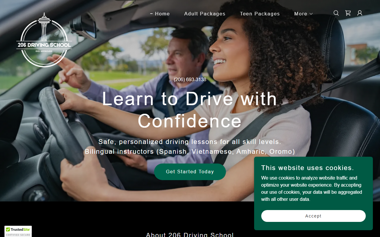 206drivingschool.com screenshot