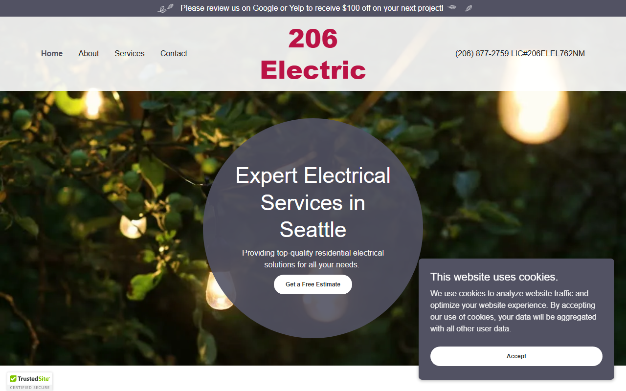 206electric.com screenshot
