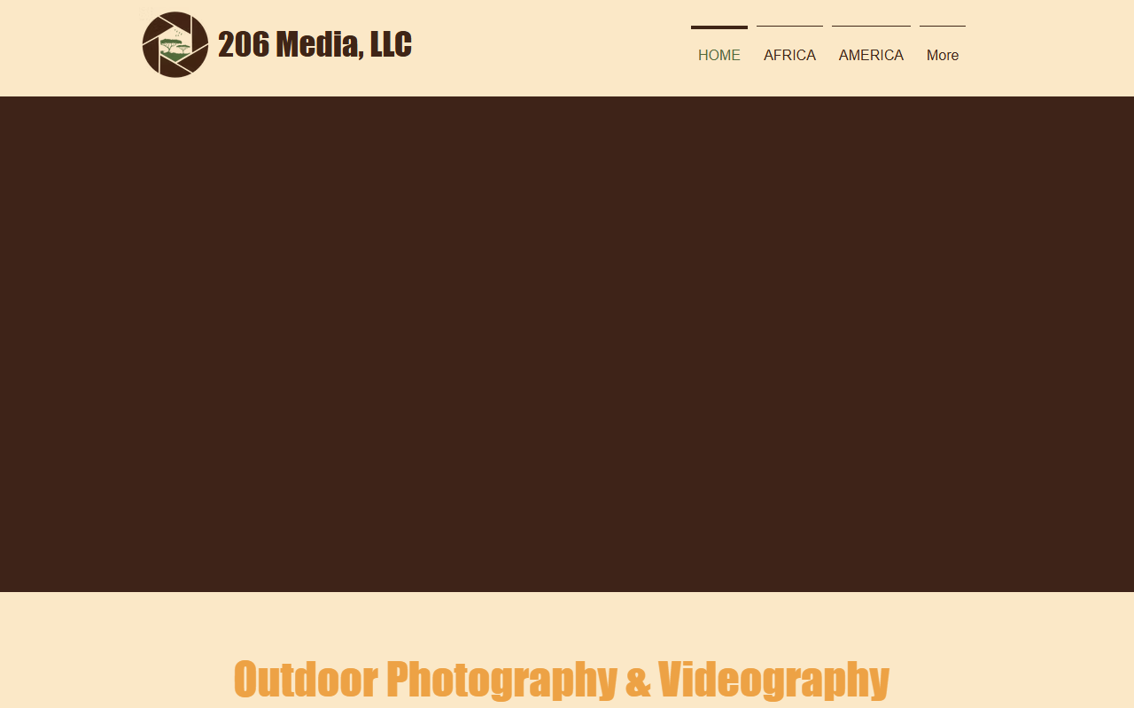 206mediallc.com screenshot