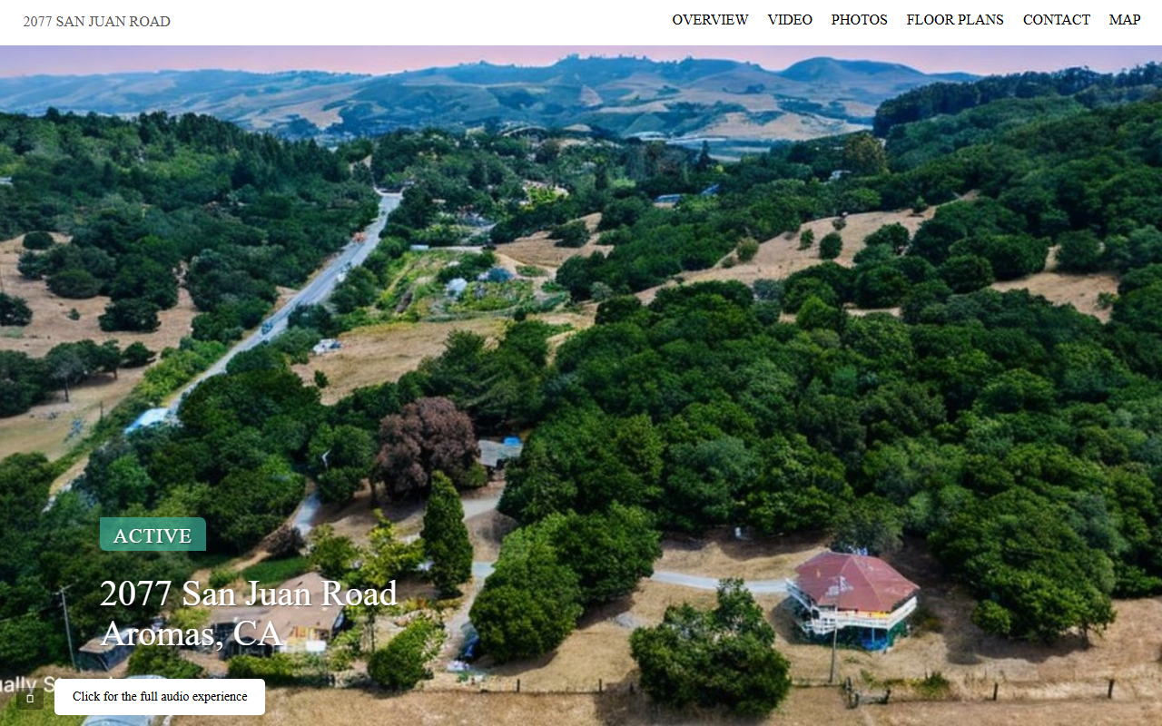 2077sanjuan.com screenshot