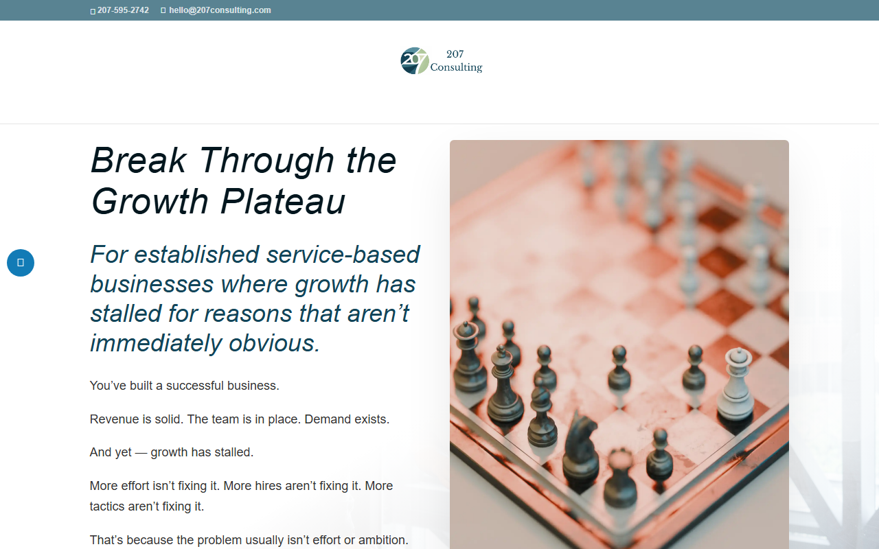 207consulting.com screenshot