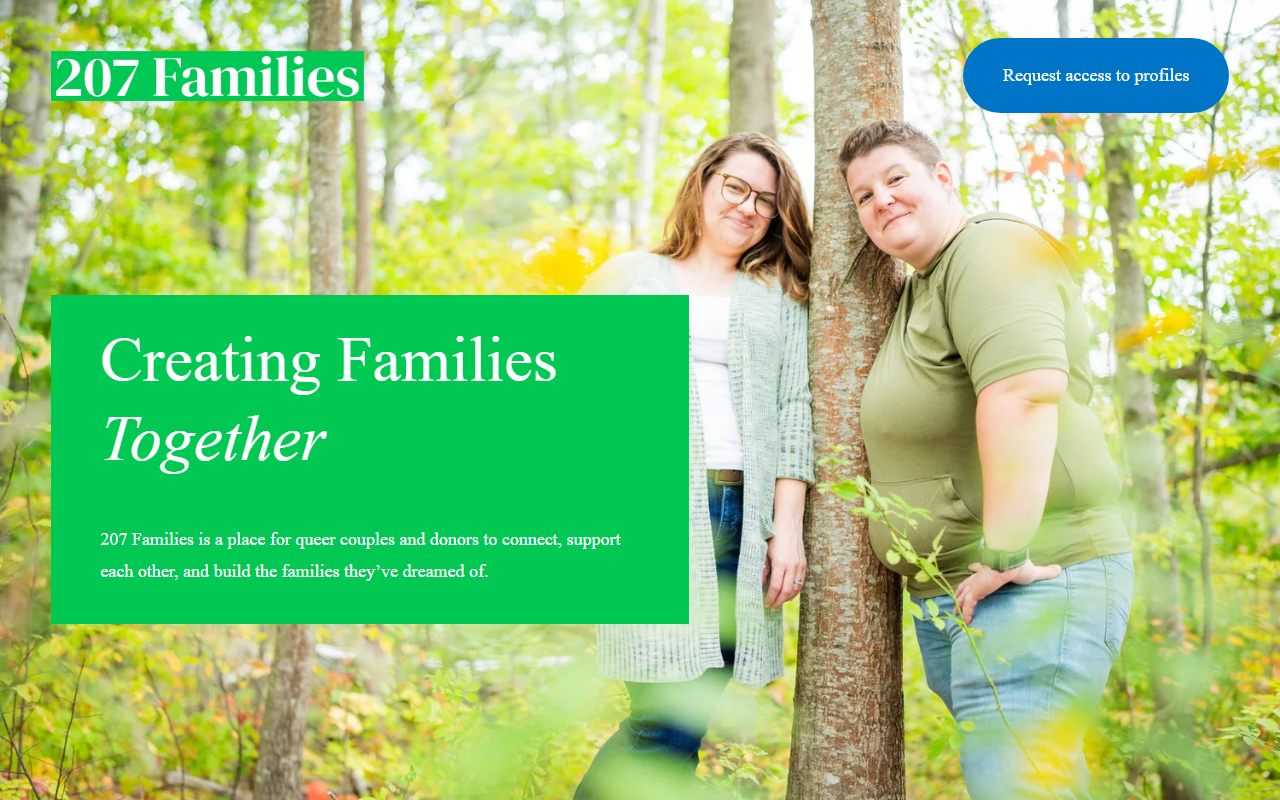 207families.com screenshot