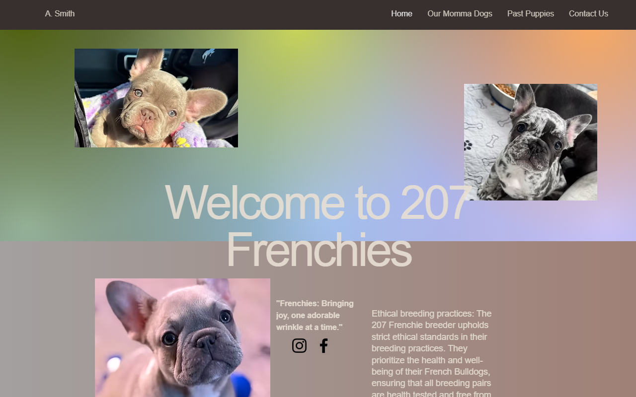 207frenchies.com screenshot