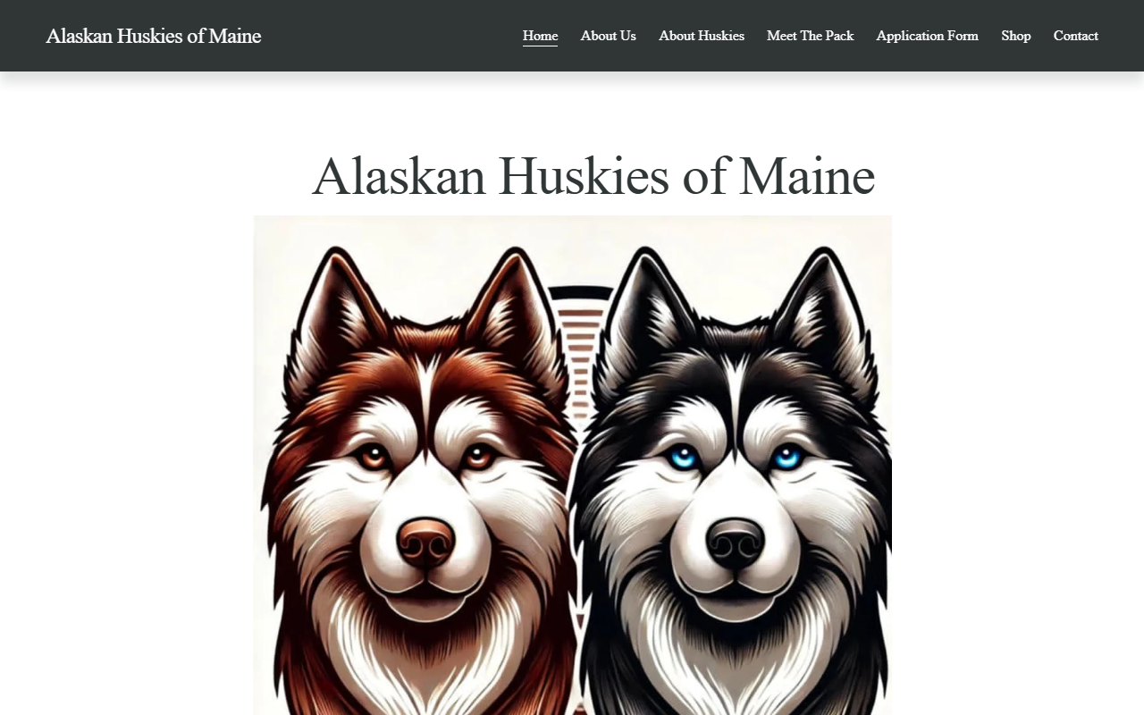 207huskies.com screenshot