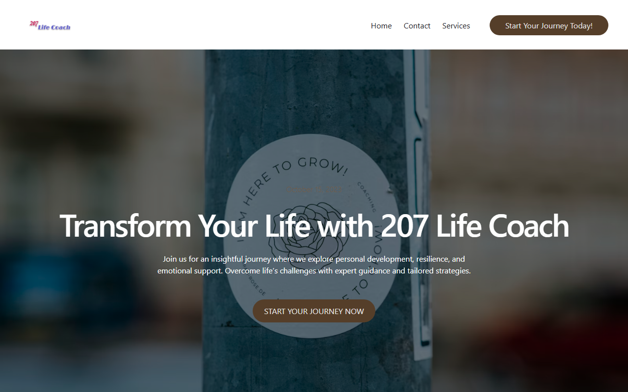 207lifecoach.com screenshot