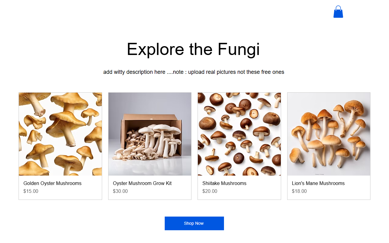 207mushroom.com screenshot
