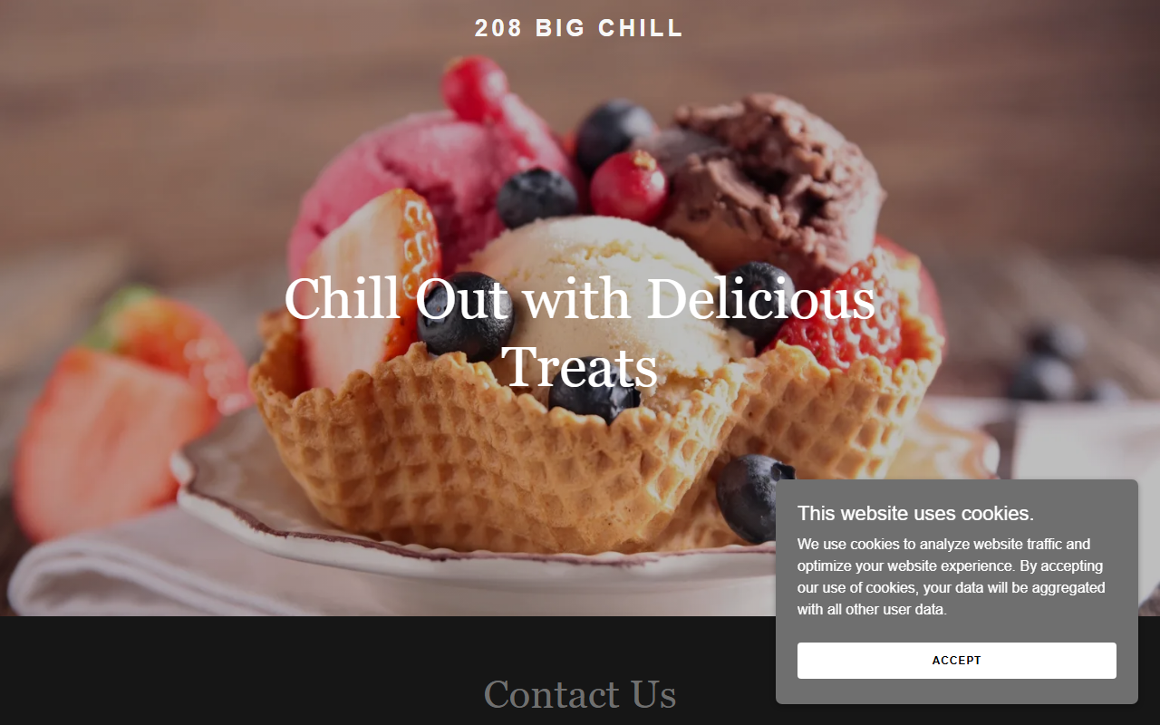208bigchill.com screenshot