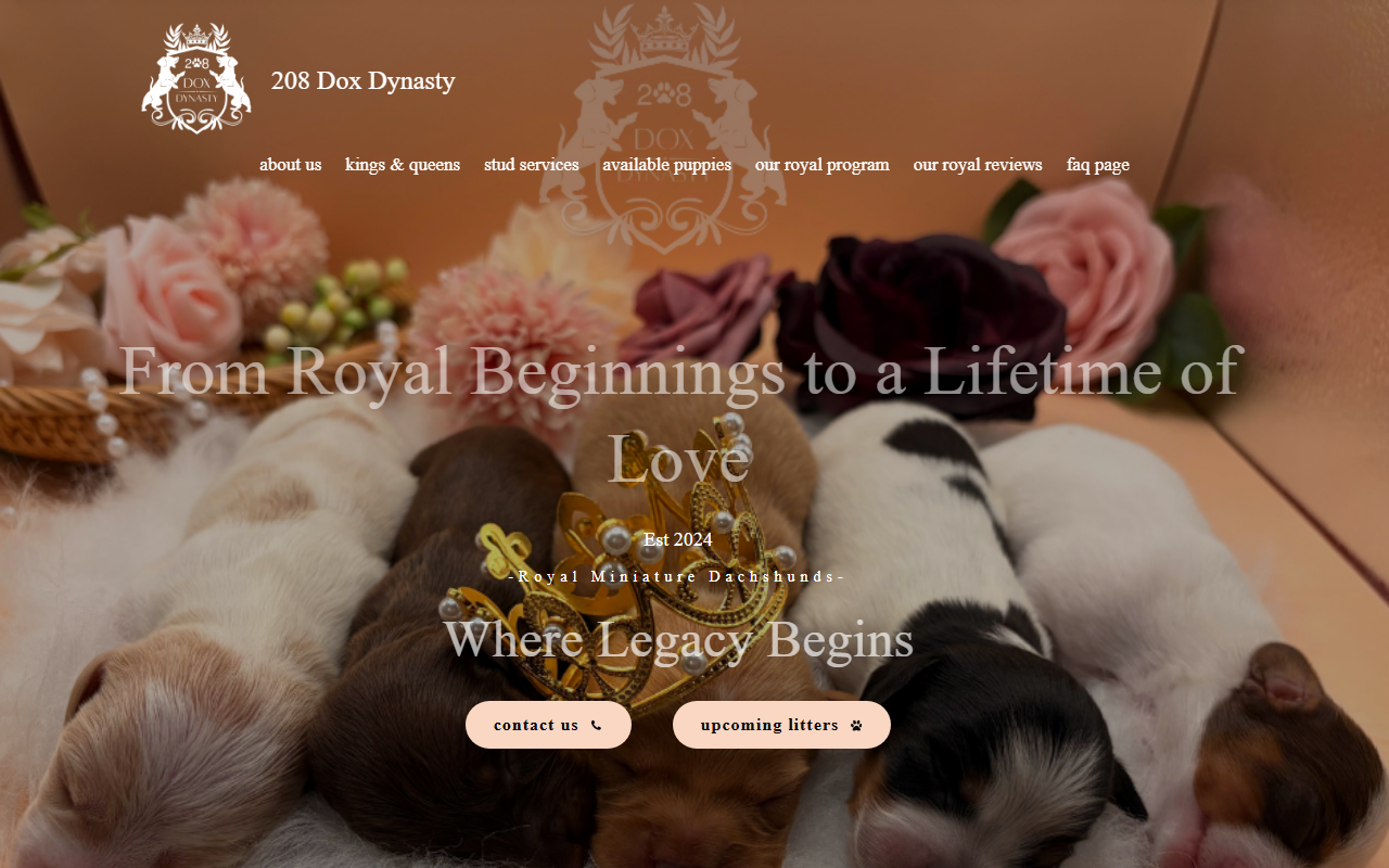 208dox-dynasty.com screenshot
