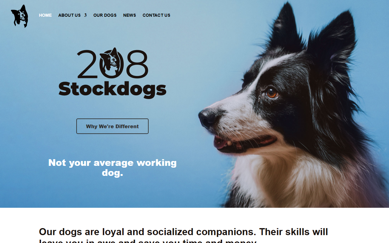 208stockdogs.com screenshot