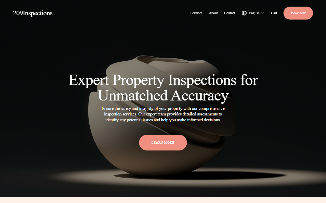 209inspections.com screenshot