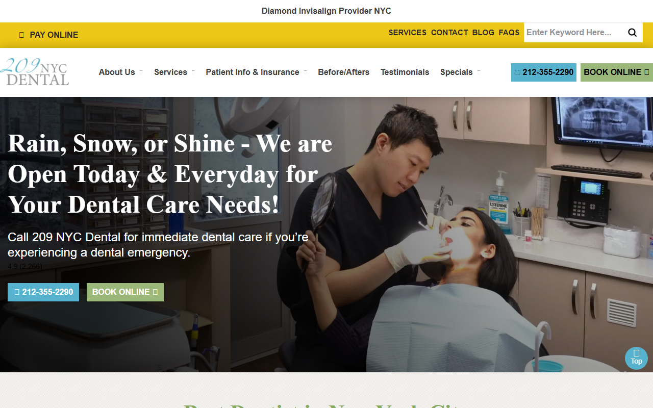 209nycdental.com screenshot