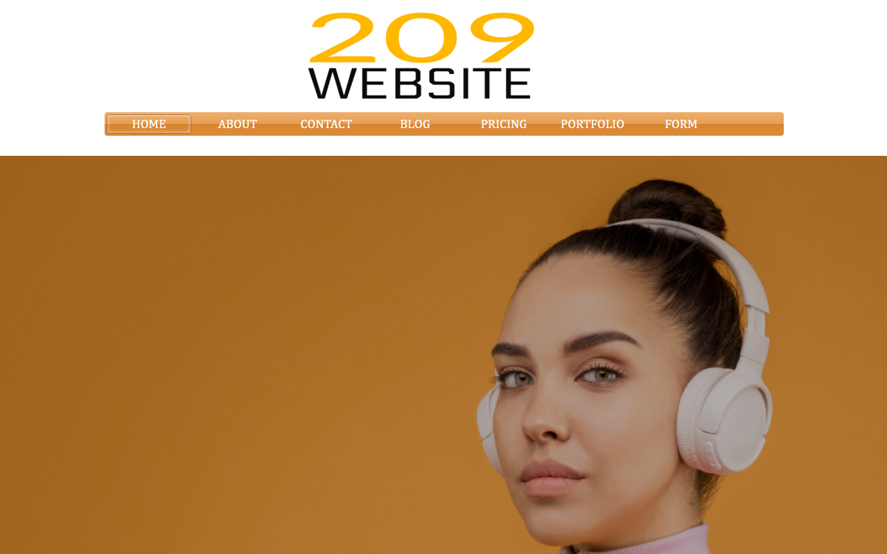209website.com screenshot
