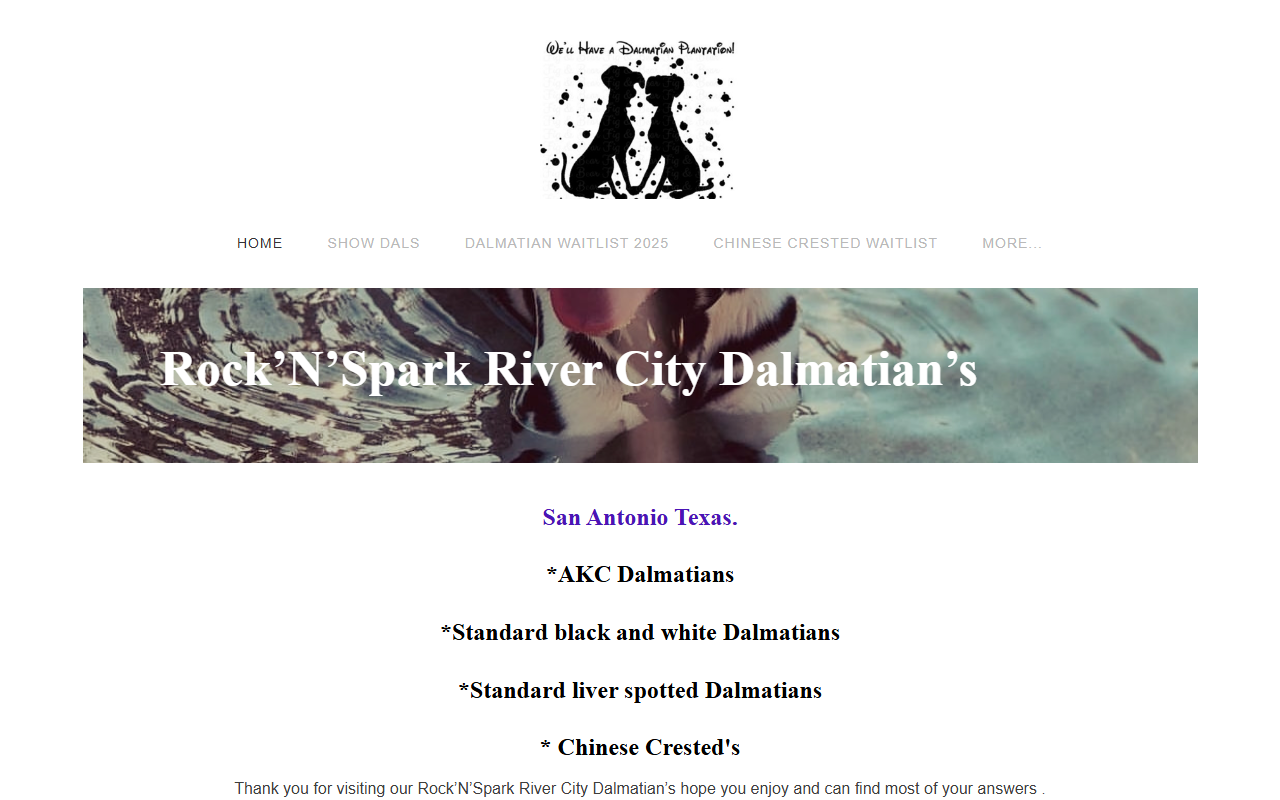 210dalmatian.com screenshot