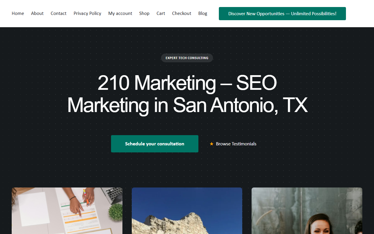 210marketing.com screenshot