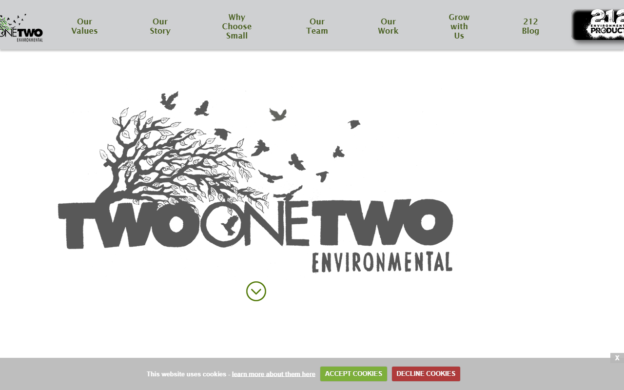212environmental.com screenshot